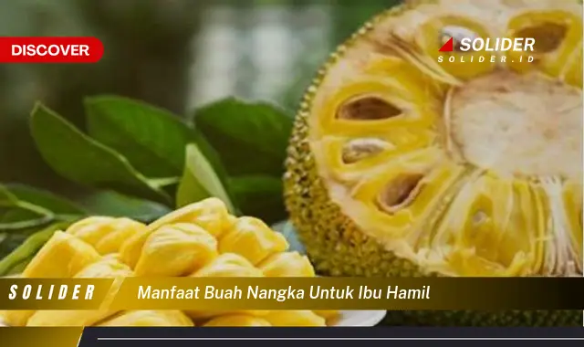 Khasiat Buah Nangka Untuk Ibu Hamil Yang Jarang Diketahui Solider