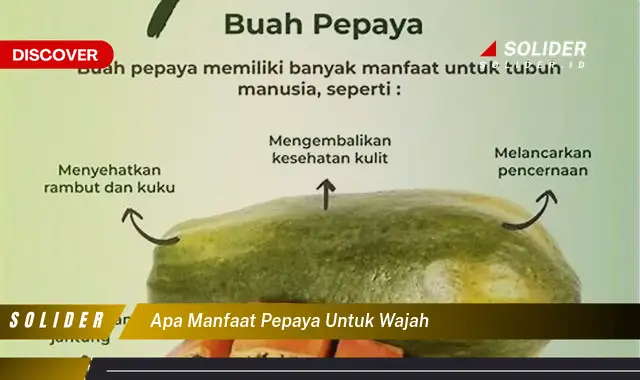 Temukan Manfaat Pepaya Untuk Wajah Yang Tak Terduga Solider