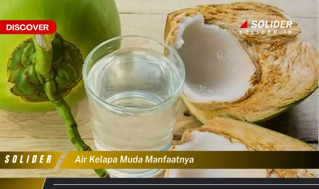 air kelapa muda manfaatnya