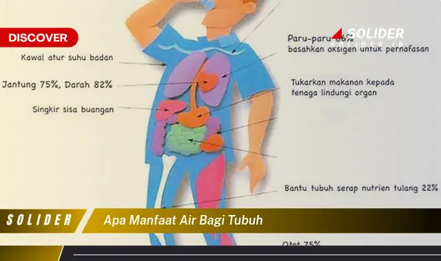 apa manfaat air bagi tubuh