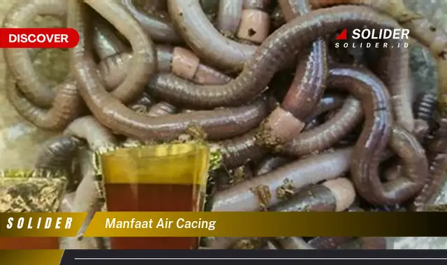 manfaat air cacing