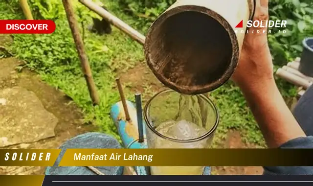 manfaat air lahang