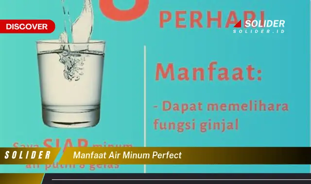 manfaat air minum perfect