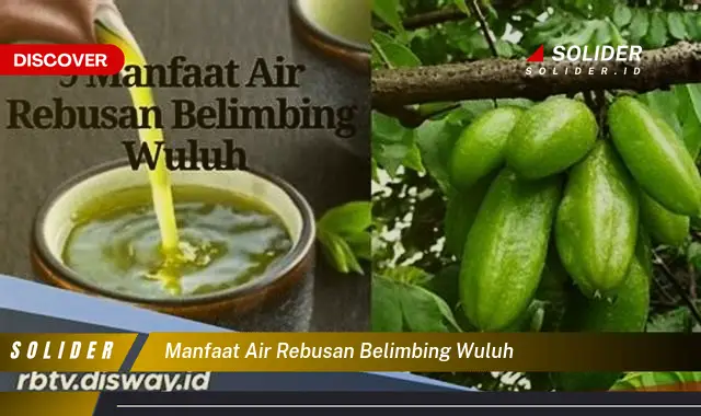 manfaat air rebusan belimbing wuluh