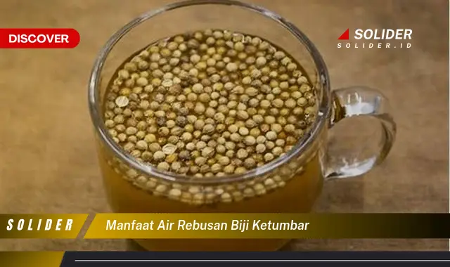 manfaat air rebusan biji ketumbar