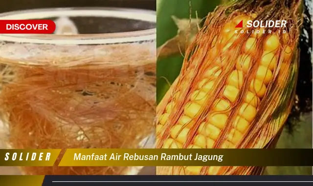 manfaat air rebusan rambut jagung