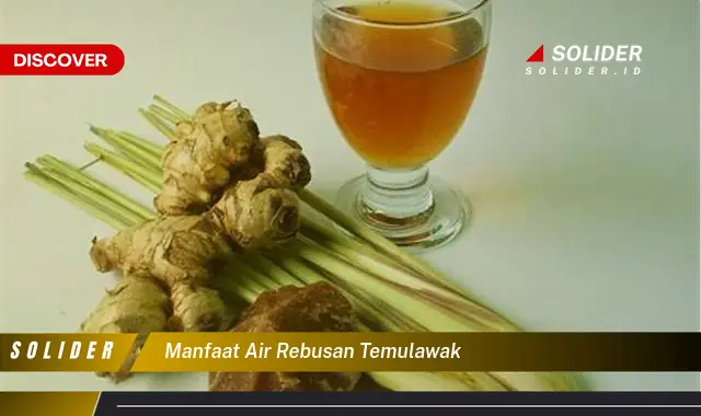 manfaat air rebusan temulawak