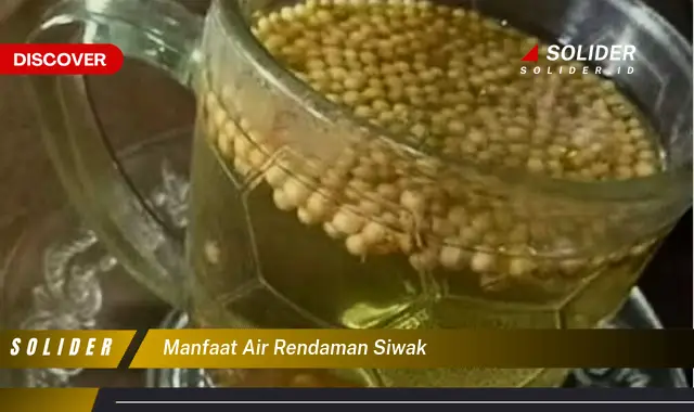 manfaat air rendaman siwak