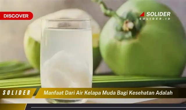 Temukan 10 Manfaat Air Kelapa Muda Untuk Kesehatan Yang Jarang ...