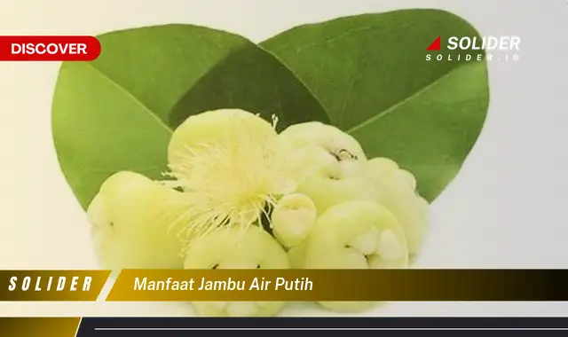 manfaat jambu air putih