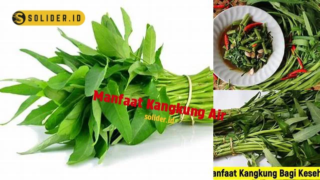 manfaat kangkung air