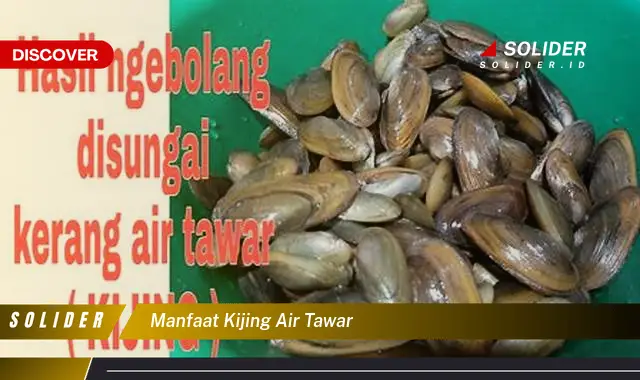 manfaat kijing air tawar