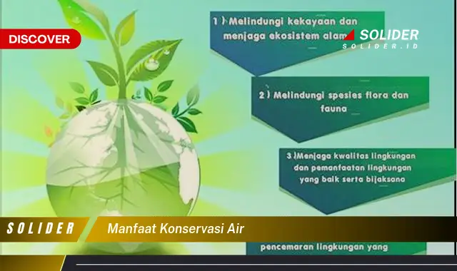 Manfaat Konservasi Air yang Jarang Diketahui yang Harus Anda Ketahui ...