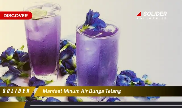 manfaat minum air bunga telang