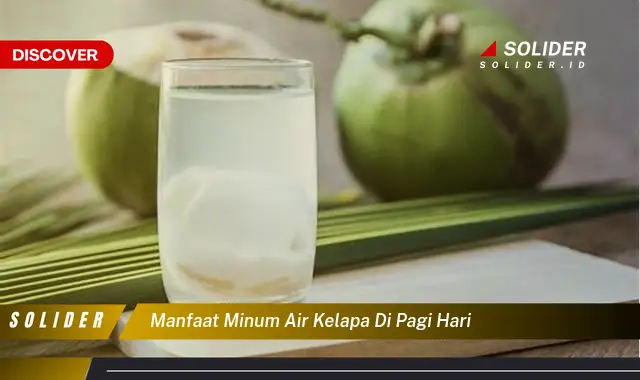 manfaat minum air kelapa di pagi hari