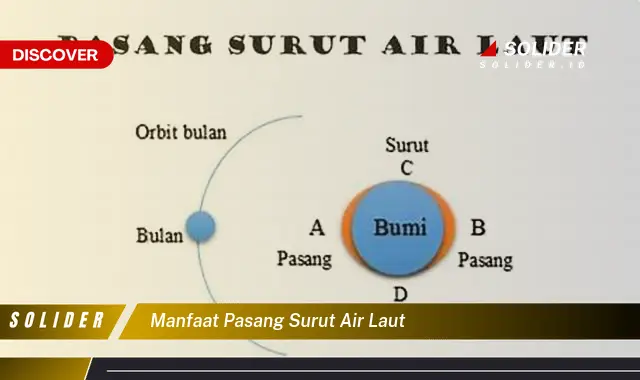 manfaat pasang surut air laut