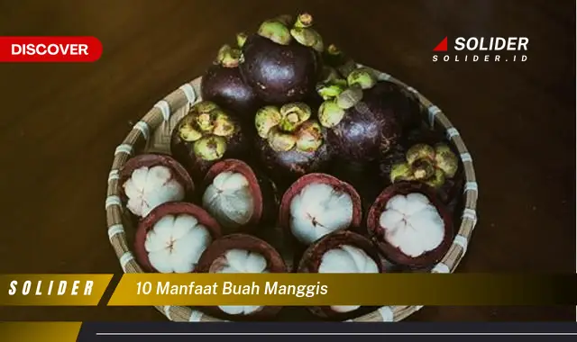 10 manfaat buah manggis