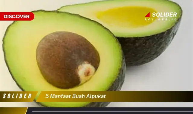 5 manfaat buah alpukat