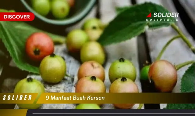 9 manfaat buah kersen