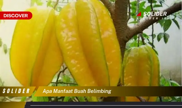 apa manfaat buah belimbing