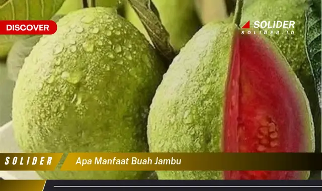 apa manfaat buah jambu