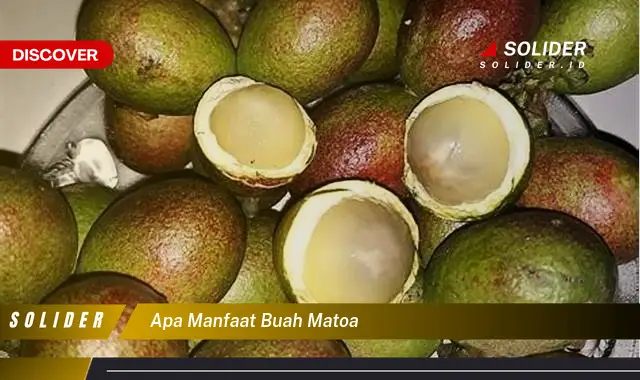 apa manfaat buah matoa