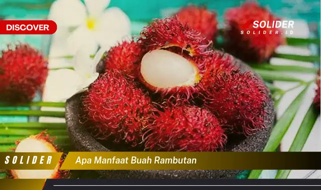 apa manfaat buah rambutan