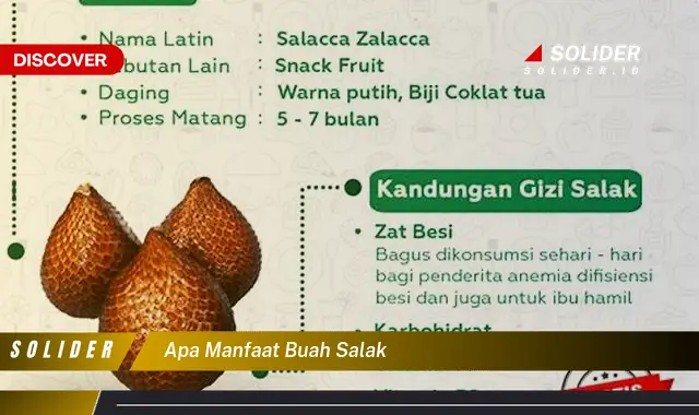 apa manfaat buah salak