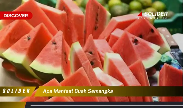 apa manfaat buah semangka