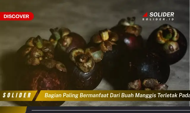 bagian paling bermanfaat dari buah manggis terletak pada