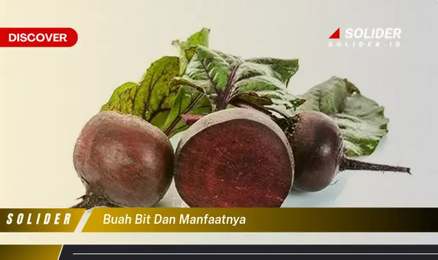 buah bit dan manfaatnya