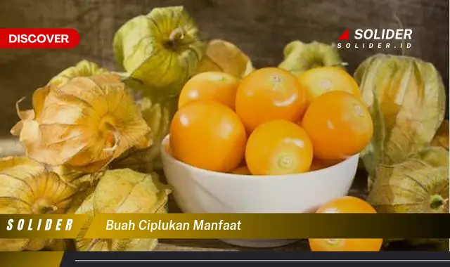 buah ciplukan manfaat