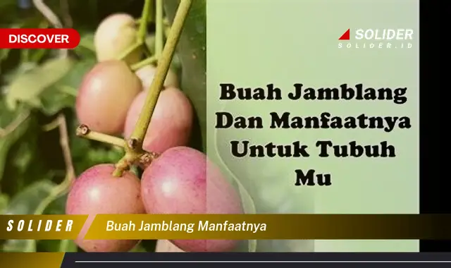 buah jamblang manfaatnya