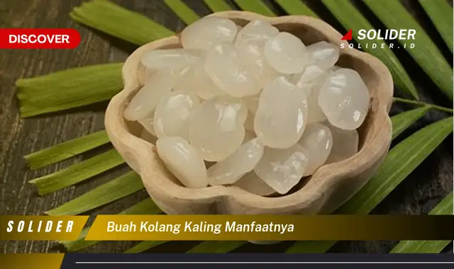 buah kolang kaling manfaatnya