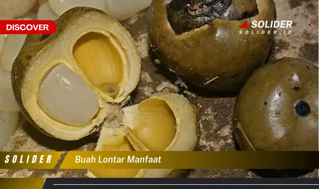 buah lontar manfaat