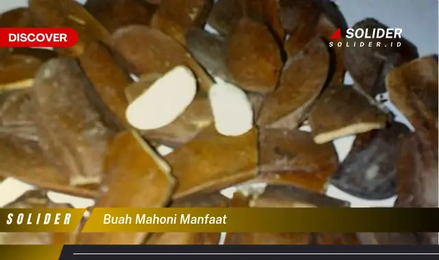 buah mahoni manfaat