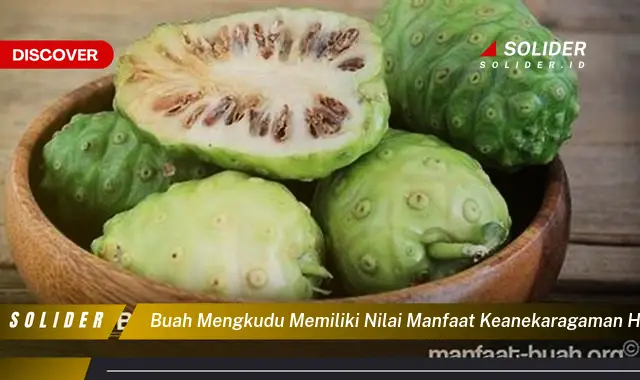 buah mengkudu memiliki nilai manfaat keanekaragaman hayati berupa sumber