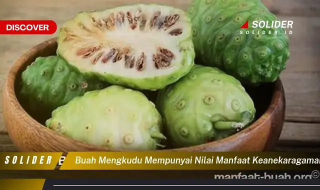 buah mengkudu mempunyai nilai manfaat keanekaragaman hayati berupa sumber