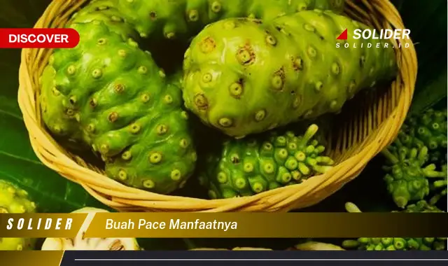 buah pace manfaatnya