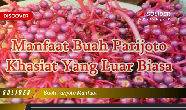 buah parijoto manfaat