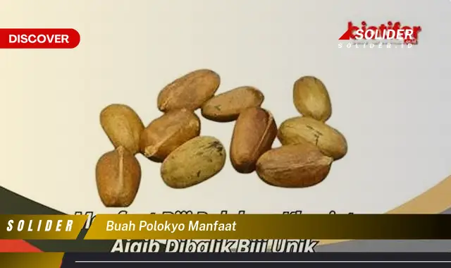 Ketahui Manfaat Buah Polokyo Yang Bikin Kamu Penasaran