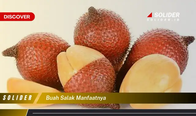 buah salak manfaatnya