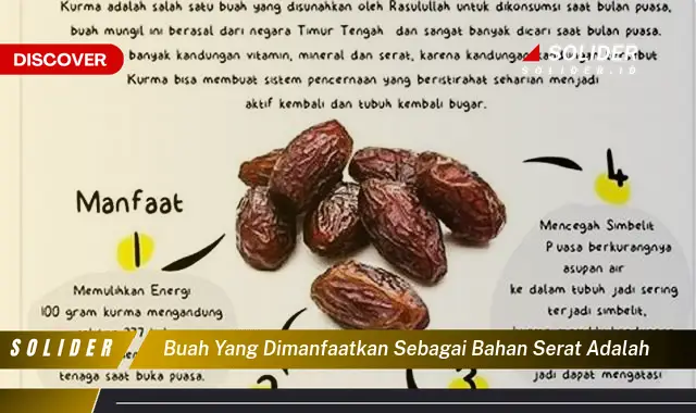 buah yang dimanfaatkan sebagai bahan serat adalah