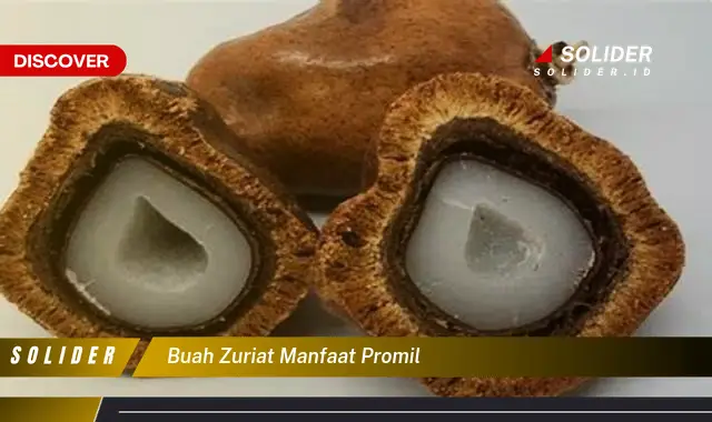 buah zuriat manfaat promil