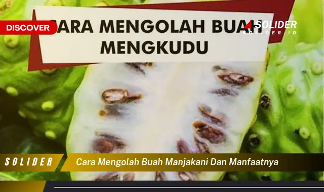 cara mengolah buah manjakani dan manfaatnya