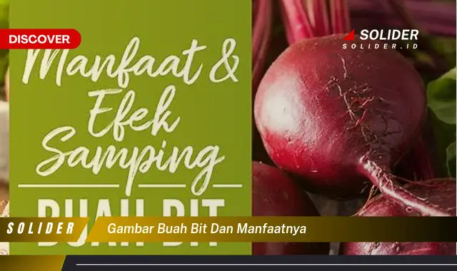 gambar buah bit dan manfaatnya