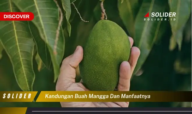 kandungan buah mangga dan manfaatnya