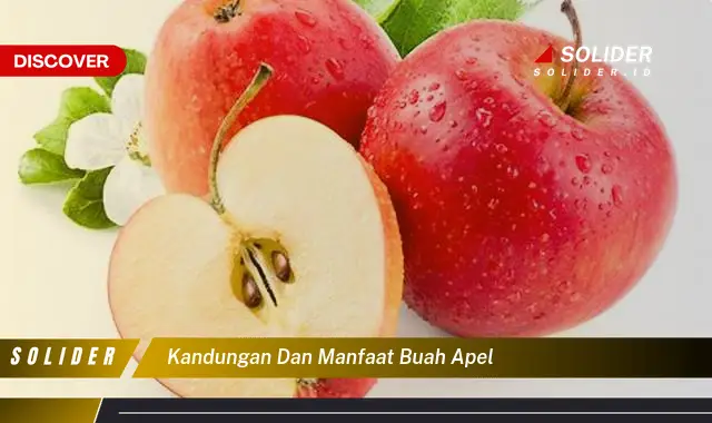 kandungan dan manfaat buah apel