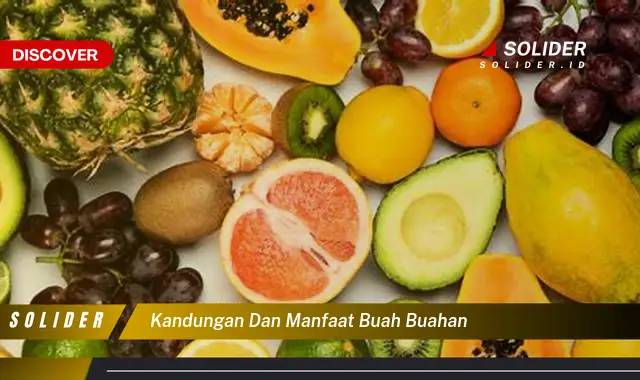 kandungan dan manfaat buah buahan