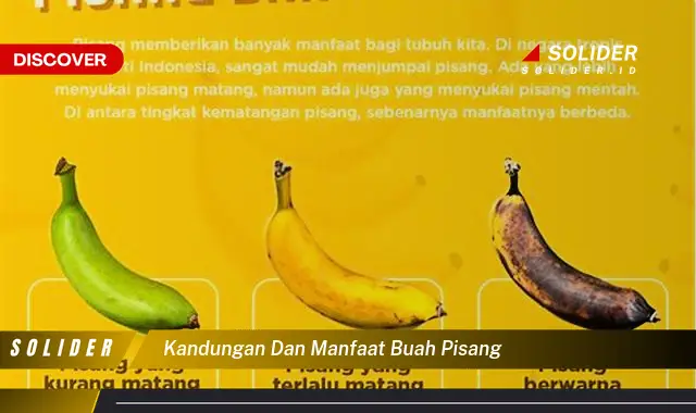 kandungan dan manfaat buah pisang